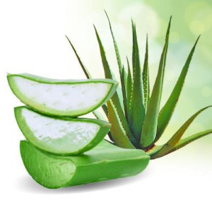 Aloe Vera Gel